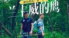 吴奇隆 《追风少年》音乐专辑，于1992年由飞碟唱片制作发行